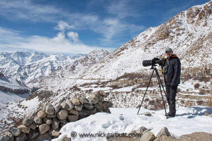 Patiently scanning the slopes for snow leopards.